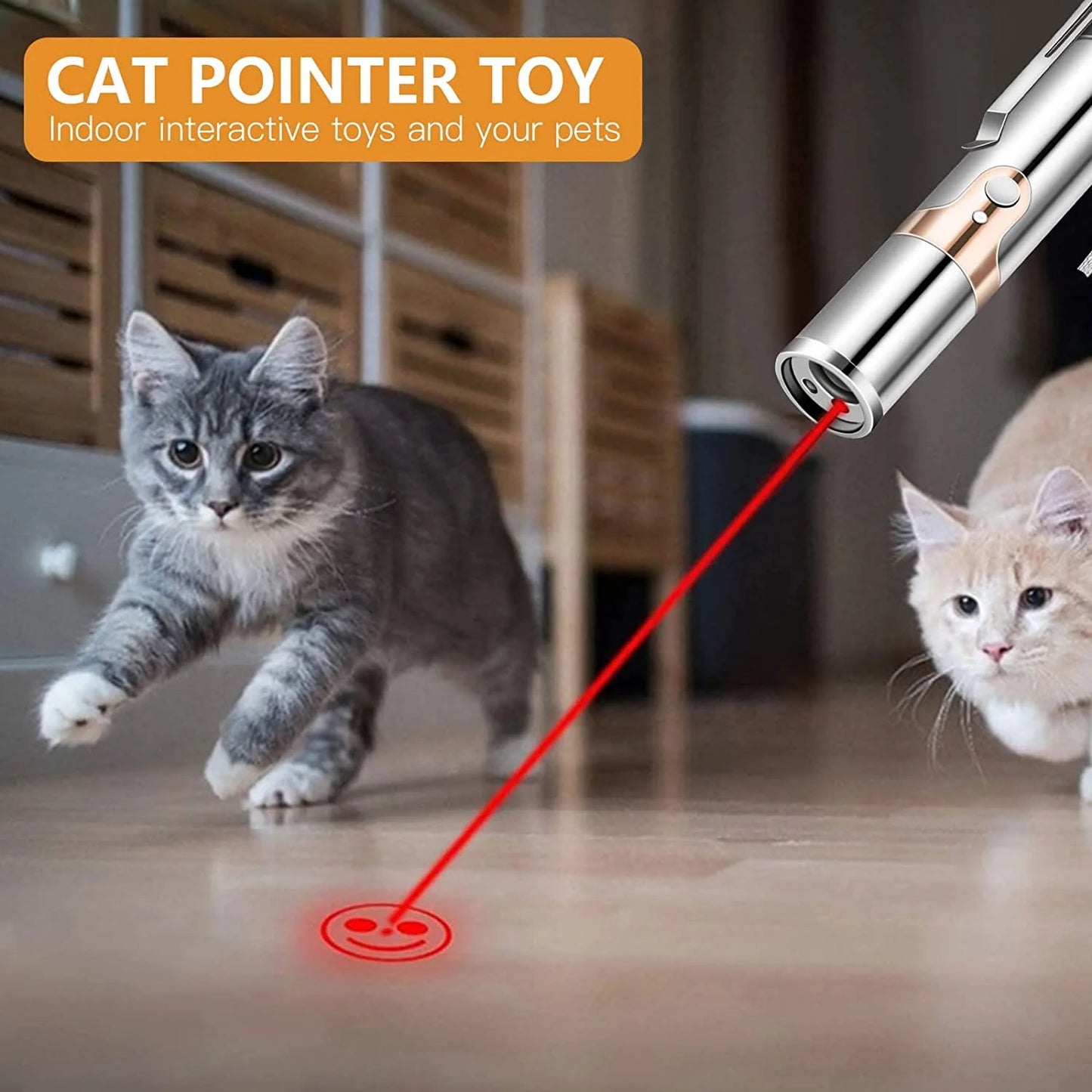 Cat Laser Pointer Toy Rechargeable,Interactive Toy for Cat Kitten Dog with a Mouse Toy,Silver